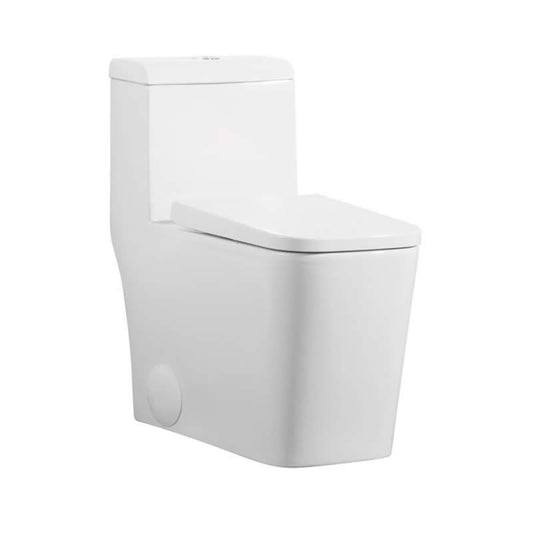 A09 Toilet